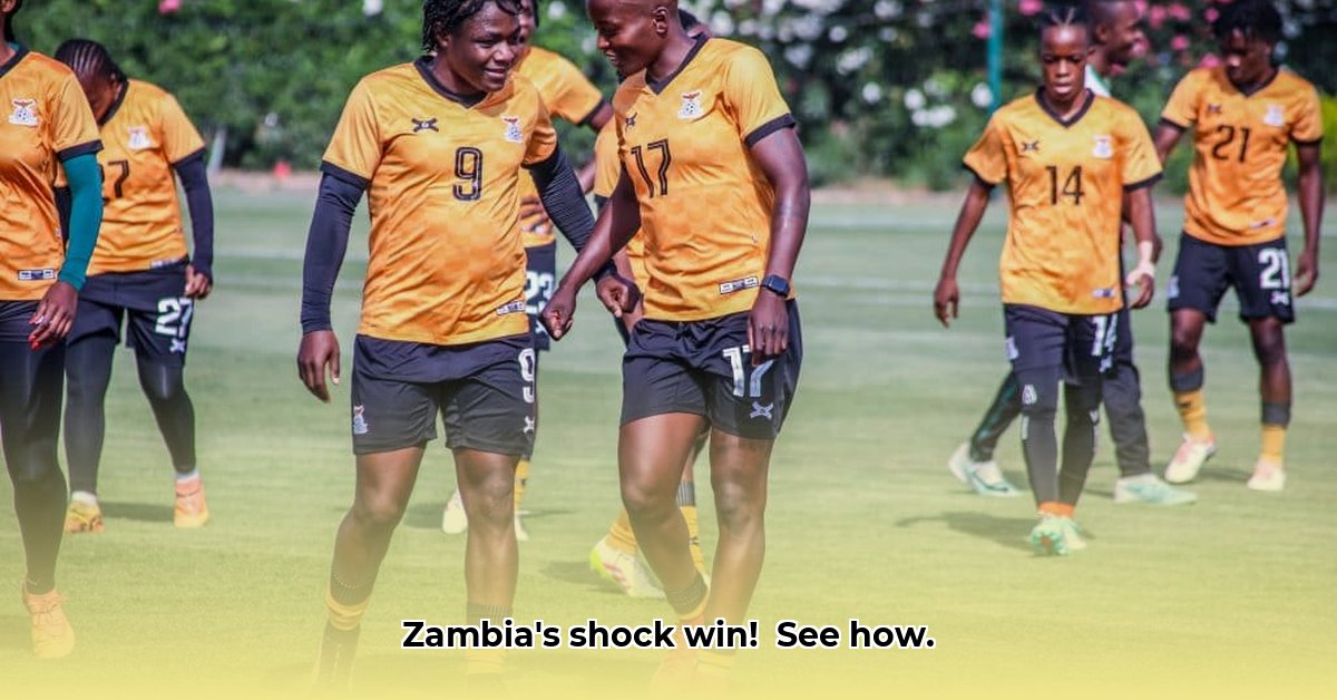 zambia-vs-senegal-today